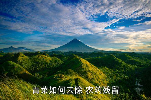 青菜如何去除 農藥殘留
