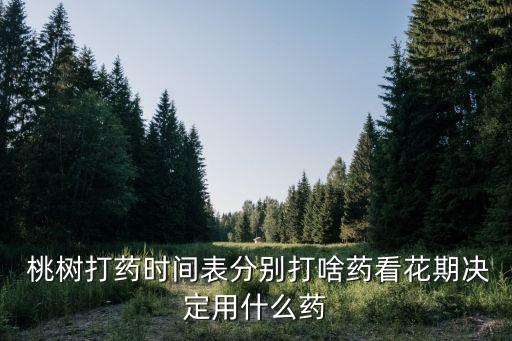桃樹什么時(shí)候打農(nóng)藥防蟲,桃樹打什么農(nóng)藥最好