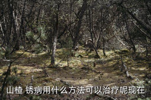 小金豆銹病用什么農藥,銹病用什么農藥最好
