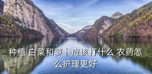 種植 白菜和蘿卜應該打什么 農藥怎么護理更好