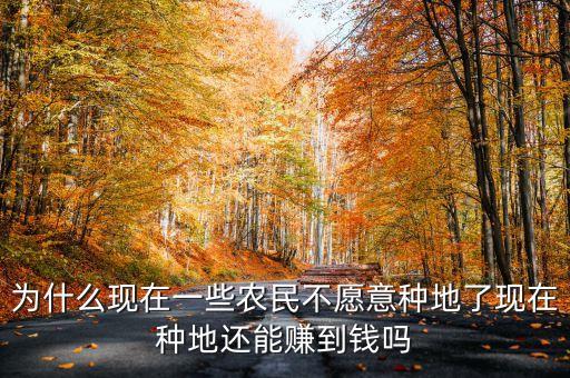 為什么現在一些農民不愿意種地了現在種地還能賺到錢嗎