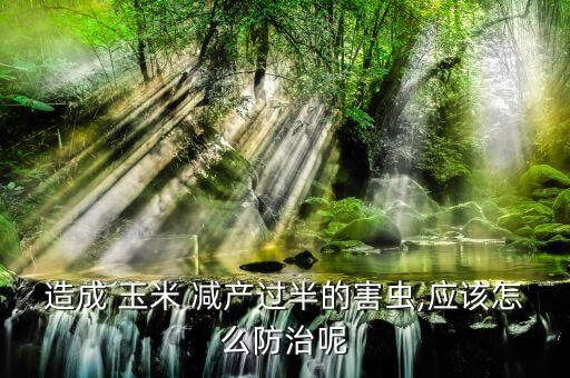 玉米打什么農藥會減產,玉米后期用什么農藥