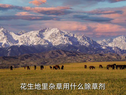 種花生前要打什么農(nóng)藥