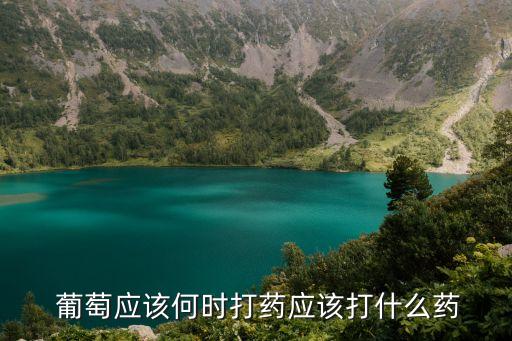 葡萄五月份用什么農(nóng)藥,葡萄一般打什么農(nóng)藥