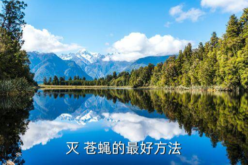 滅 蒼蠅的最好方法
