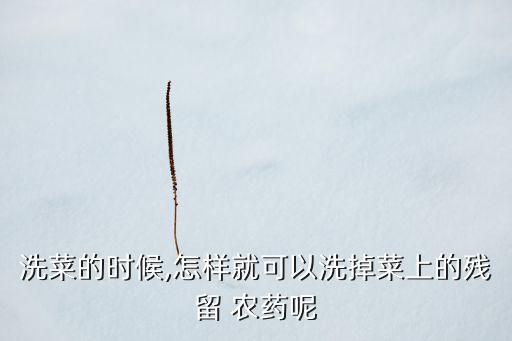 去除蔬菜的農藥用什么去,蔬菜浸泡多長時間去除農藥