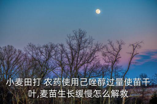 小麥田打 農藥使用己唑醇過量使苗干葉,麥苗生長緩慢怎么解救