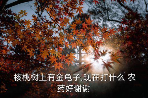 核桃樹上能用什么農藥,長在樹上的核桃長什么樣