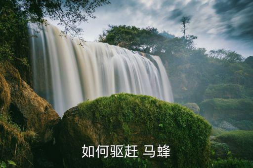 什么農(nóng)藥殺馬蜂快,殺了馬蜂會有什么后果
