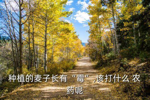 小麥什么農藥好治病,小麥打農藥什么時間打效果好