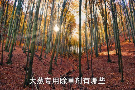 蔥花打什么農(nóng)藥最好,一般什么時(shí)間打農(nóng)藥最好