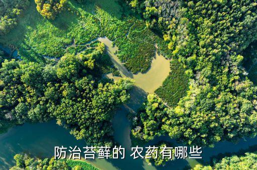 什么農藥可以殺死青苔,青苔寶農藥有什么作用