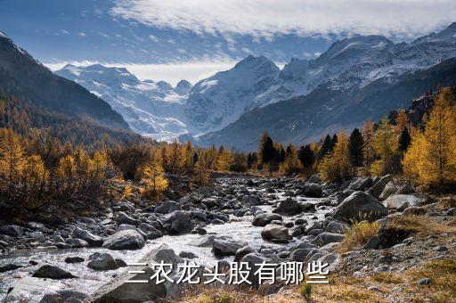 三農龍頭股有哪些