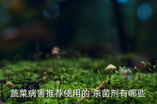 瓜類可用什么農(nóng)藥殺菌,瓜類不能用什么農(nóng)藥