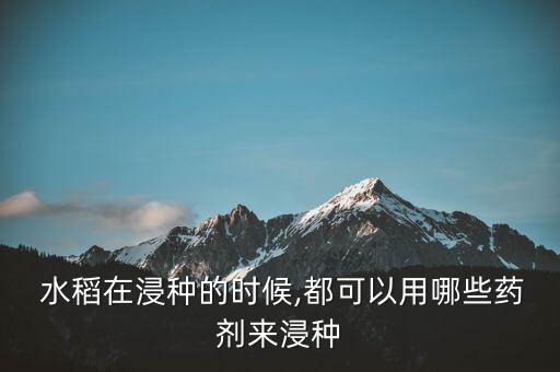 水稻用什么農藥打菌,水稻不打農藥可以嗎
