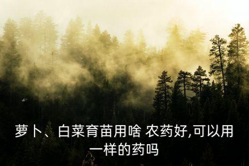 用什么藥打農藥最好用,一般什么時間打農藥最好