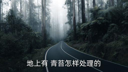 地上有 青苔怎樣處理的