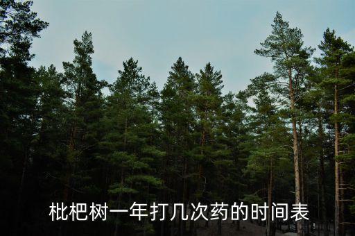  枇杷樹一年打幾次藥的時間表