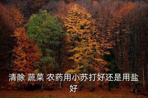 清除 蔬菜 農(nóng)藥用小蘇打好還是用鹽好