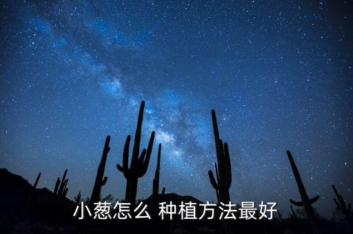 種植小蔥用什么農(nóng)藥,小蔥什么時(shí)間種植最合適
