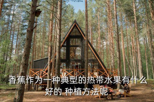  香蕉作為一種典型的熱帶水果有什么好的 種植方法呢