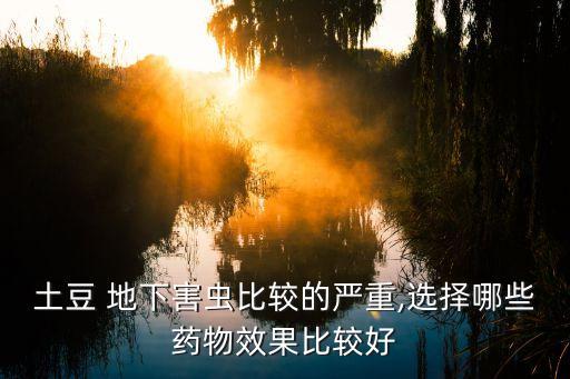 種地瓜地下蟲噴什么農藥