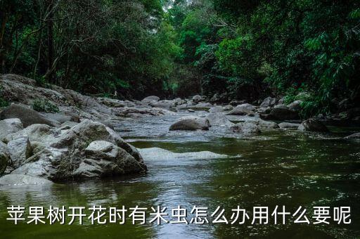 樹上的米蟲用什么農藥好,斗米蟲長在什么樹上圖片