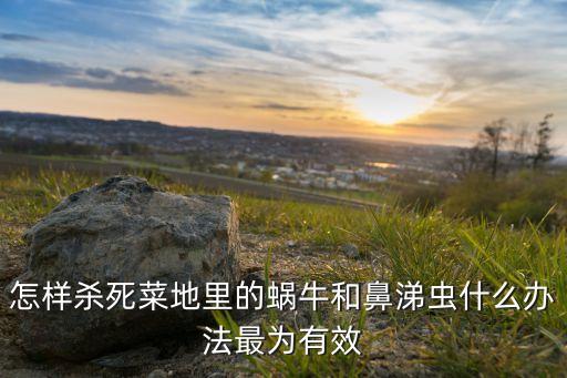 用什么農藥對蛞蝓有作用,什么農藥可以殺死蛞蝓