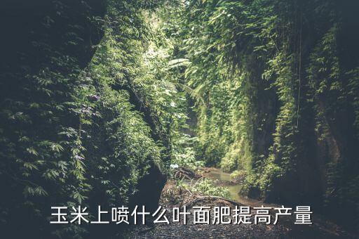 玉米灌漿期用什么農(nóng)藥最好