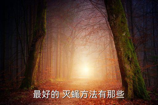 家庭滅蠅用什么農藥,滅蠅子用什么農藥
