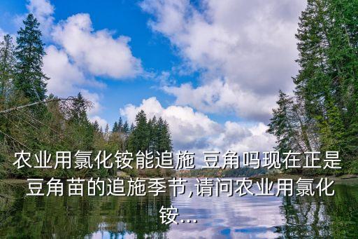 豆角苗用什么農藥,豆角死苗屬于什么原因