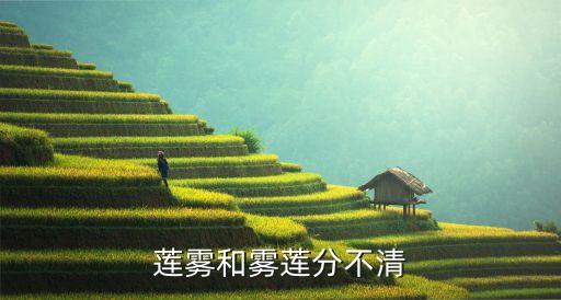 蓮霧和霧蓮分不清