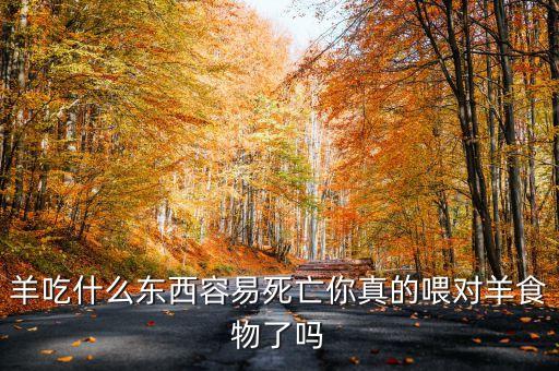 羊吃什么東西容易死亡你真的喂對羊食物了嗎