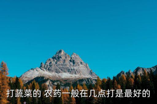 打蔬菜的 農藥一般在幾點打是最好的