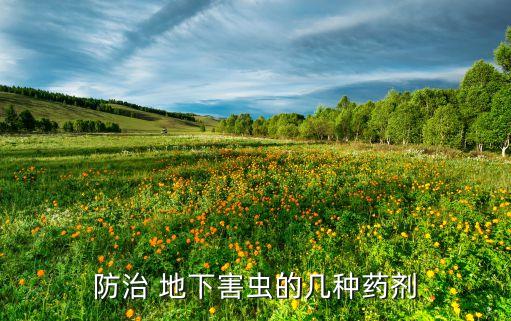什么農藥能治地下蟲,治地下害蟲的農藥