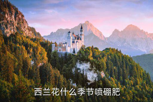  西蘭花什么季節噴硼肥