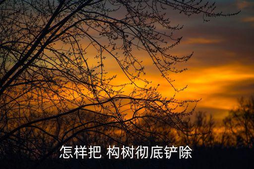 怎樣把 構樹徹底鏟除