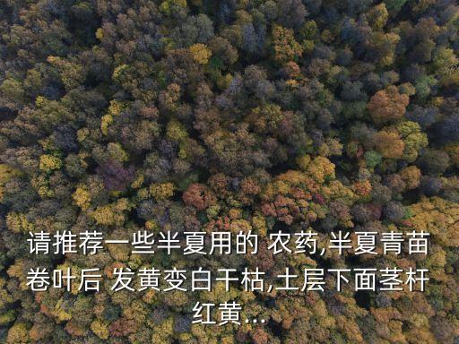 農(nóng)藥葉子發(fā)黃用什么藥,蔥葉子發(fā)黃打什么藥
