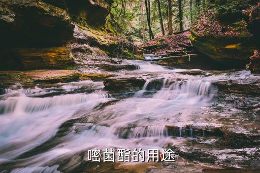  嘧菌酯的用途