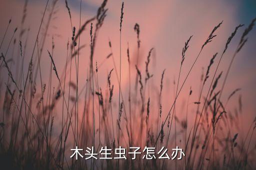 木頭生蟲子怎么辦