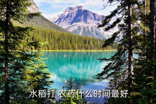 水稻發芽期用什么農藥,什么農藥可以不讓種子發芽