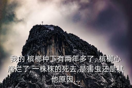 檳榔被蟲咬用什么農藥,檳榔蟲咬后很久還很癢