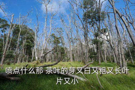 茶葉吹芽什么農藥最好,茶葉殺蟲用什么農藥