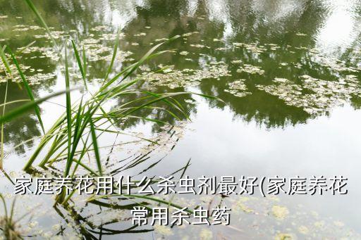 家庭養花用什么殺蟲劑最好(家庭養花常用殺蟲藥