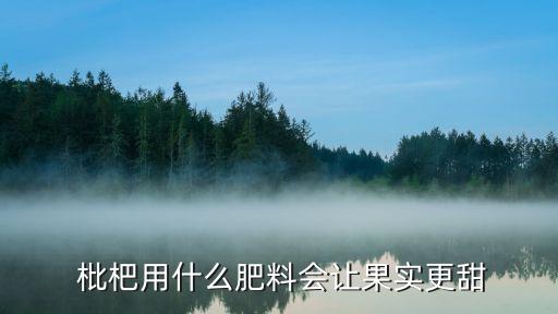給枇杷噴什么農(nóng)藥好,枇杷花芽分化噴什么