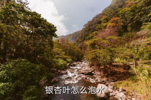 銀杏樹打什么農藥最好,隨州看銀杏樹什么時間最好
