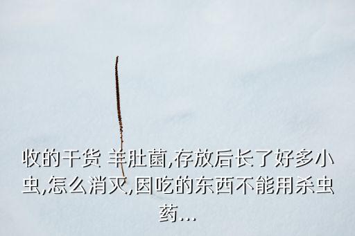 羊肚菌用什么農(nóng)藥,種植羊肚菌灑農(nóng)藥嗎