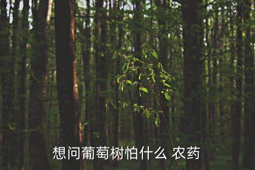 想問葡萄樹怕什么 農(nóng)藥