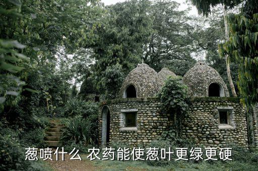 香蔥有什么農藥,香蔥種植技術和農藥管理