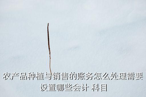 化肥農(nóng)藥下什么科目,經(jīng)營化肥農(nóng)藥需要什么手續(xù)